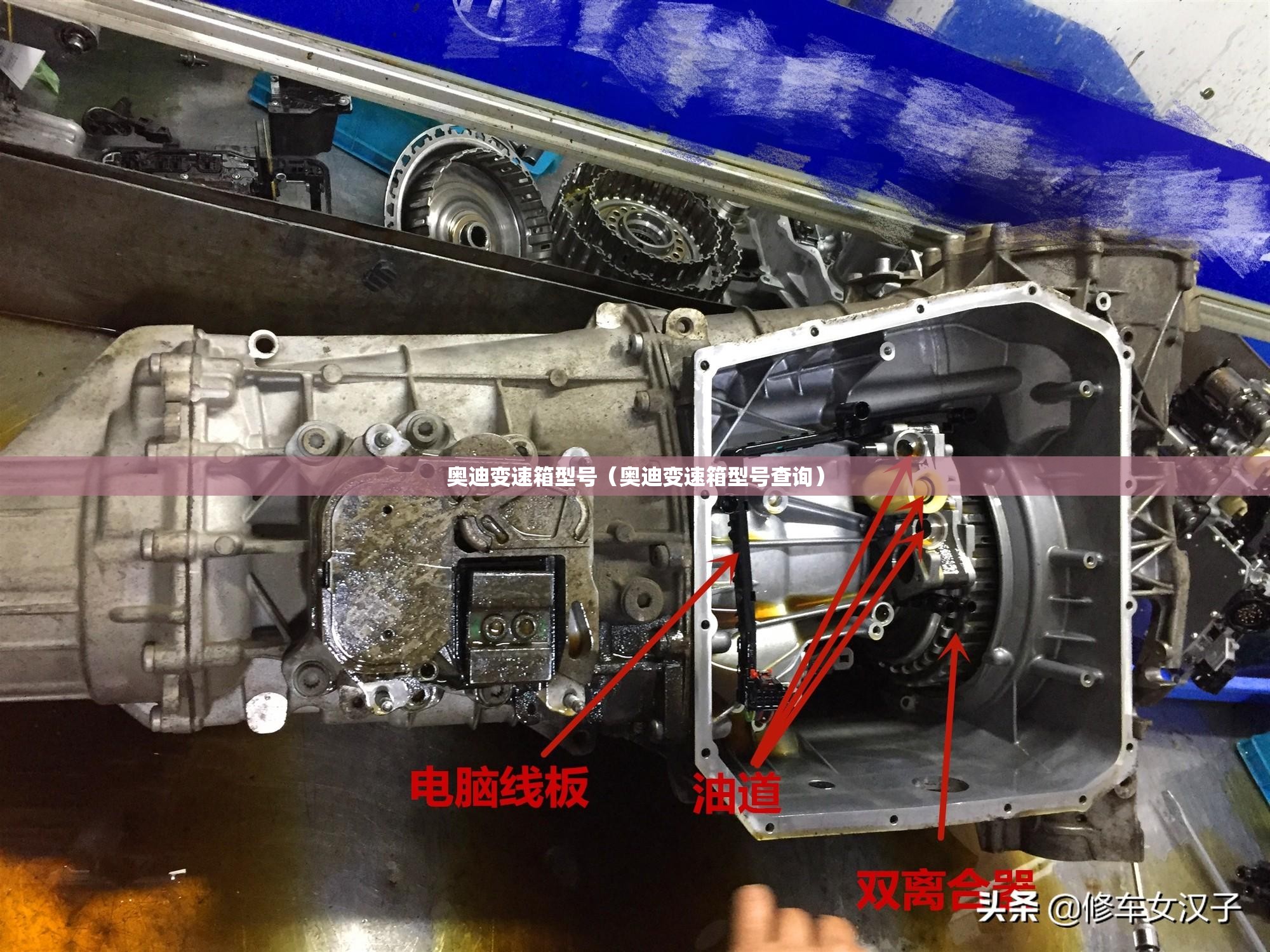 奥迪变速箱型号（奥迪变速箱型号查询）