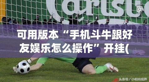 可用版本“手机斗牛跟好友娱乐怎么操作”开挂(透视)辅助教程