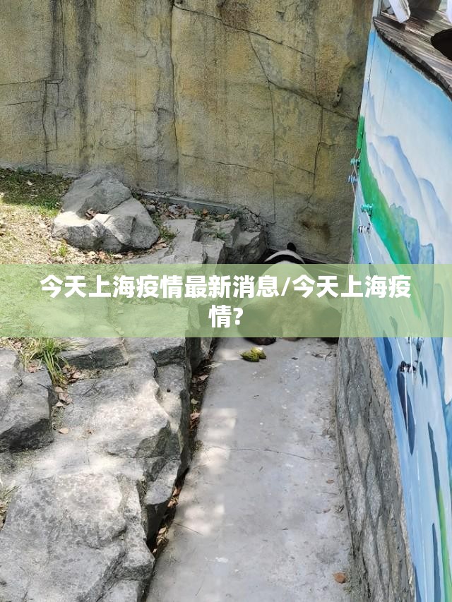 今天上海疫情最新消息/今天上海疫情? 今天上海疫情最新消息/今天上海疫情?