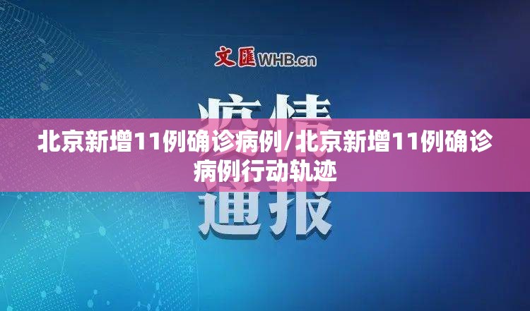 北京新增11例确诊病例/北京新增11例确诊病例行动轨迹 北京新增11例确诊病例/北京新增11例确诊病例行动轨迹