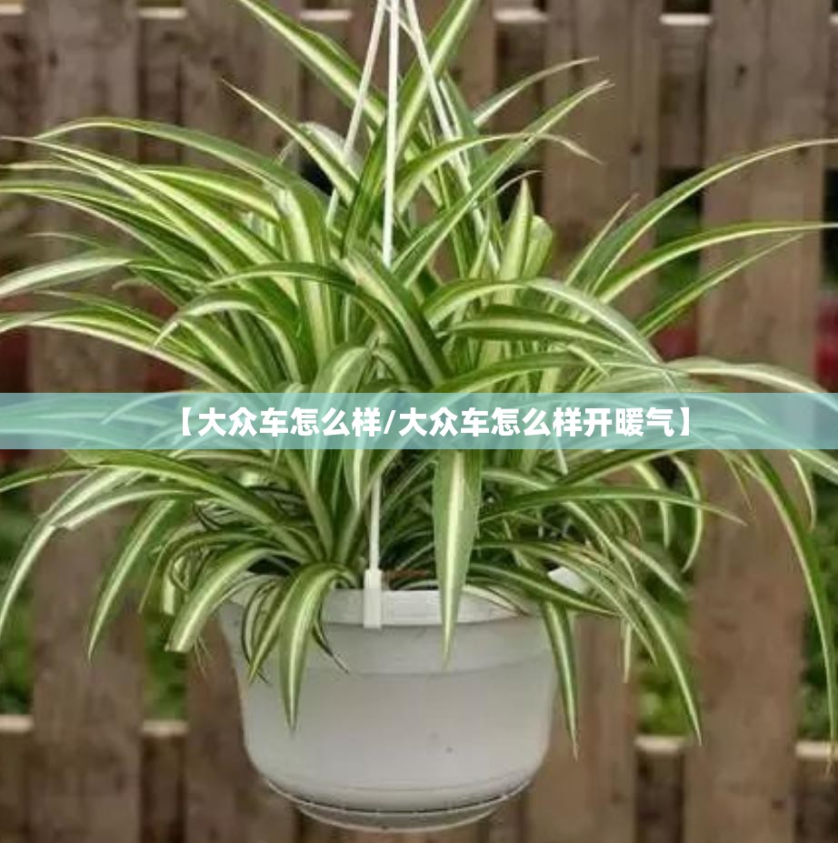 【大众车怎么样/大众车怎么样开暖气】 【大众车怎么样/大众车怎么样开暖气】