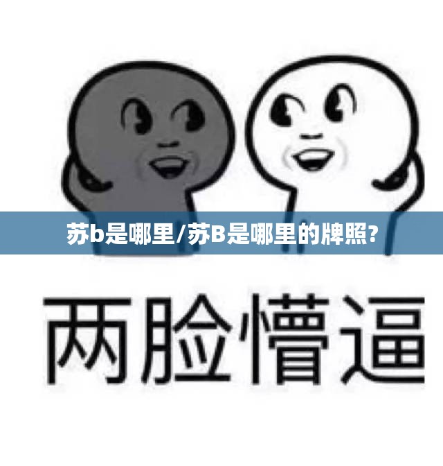苏b是哪里/苏B是哪里的牌照? 苏b是哪里/苏B是哪里的牌照?