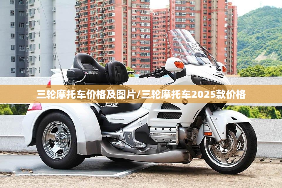 三轮摩托车价格及图片/三轮摩托车2025款价格