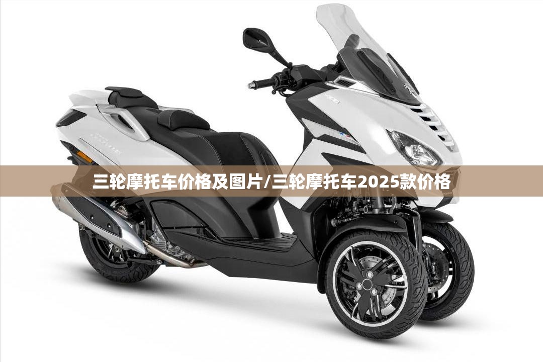 三轮摩托车价格及图片/三轮摩托车2025款价格