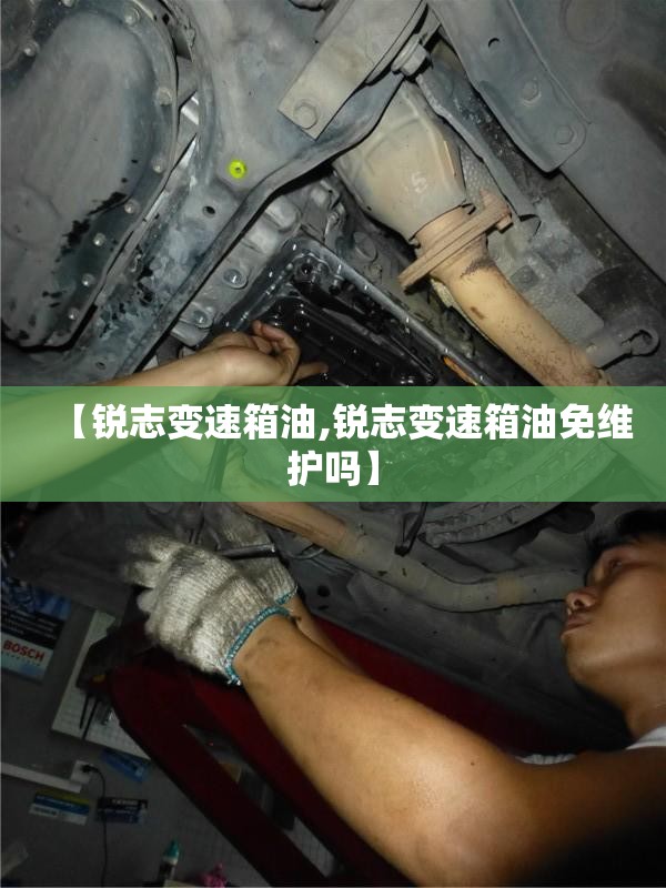 【锐志变速箱油,锐志变速箱油免维护吗】 【锐志变速箱油,锐志变速箱油免维护吗】