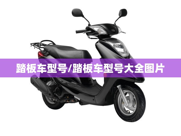 踏板车型号/踏板车型号大全图片 踏板车型号/踏板车型号大全图片