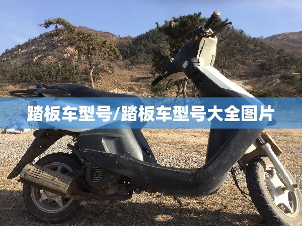 踏板车型号/踏板车型号大全图片 踏板车型号/踏板车型号大全图片