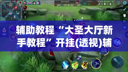 辅助教程“大圣大厅新手教程”开挂(透视)辅助神器