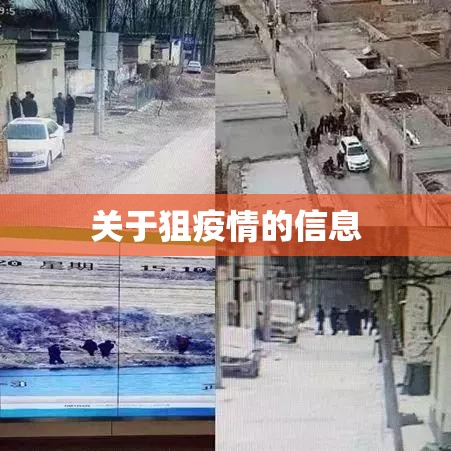 关于狙疫情的信息