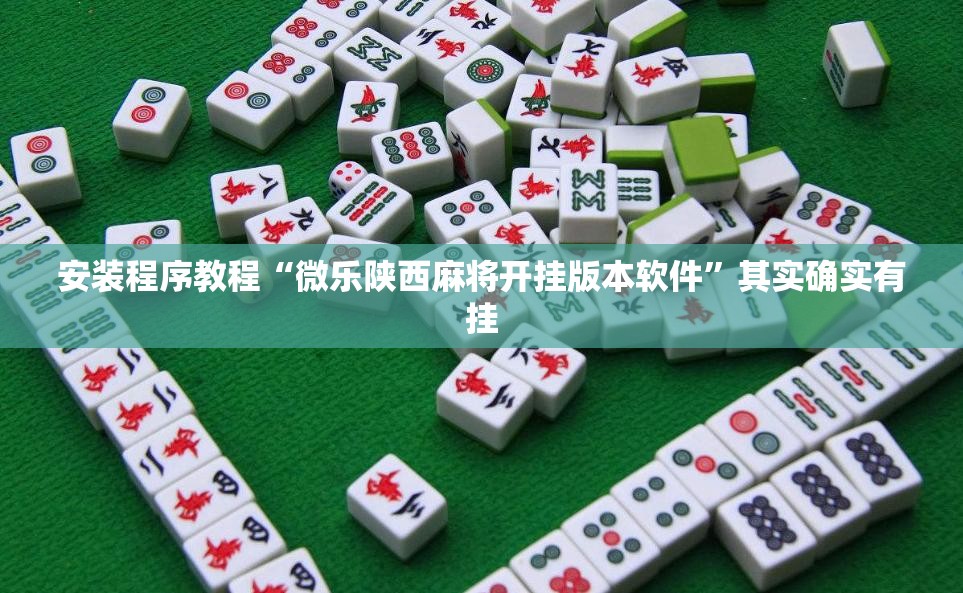 安装程序教程“微乐陕西麻将开挂版本软件	”其实确实有挂