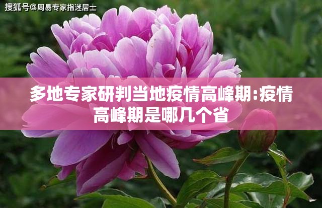 多地专家研判当地疫情高峰期:疫情高峰期是哪几个省