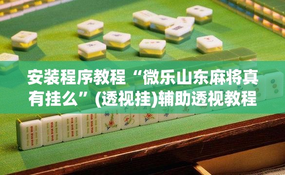 安装程序教程“微乐山东麻将真有挂么”(透视挂)辅助透视教程
