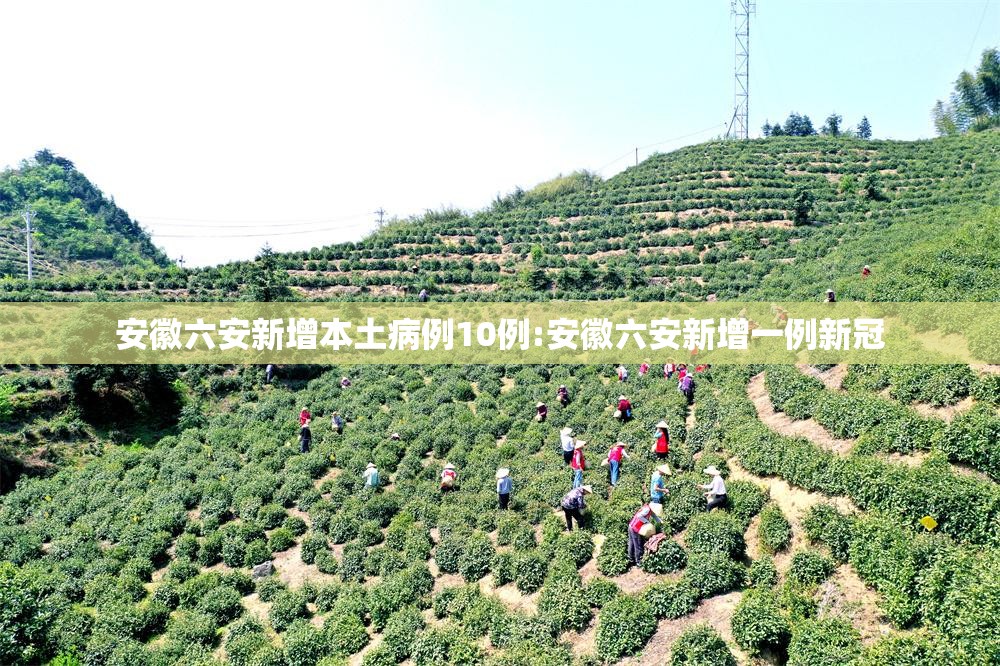 安徽六安新增本土病例10例:安徽六安新增一例新冠