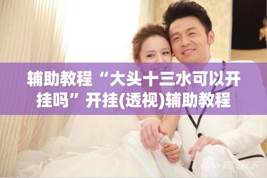 辅助教程“大头十三水可以开挂吗	”开挂(透视)辅助教程