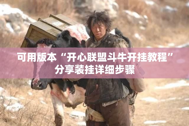 可用版本“开心联盟斗牛开挂教程”分享装挂详细步骤