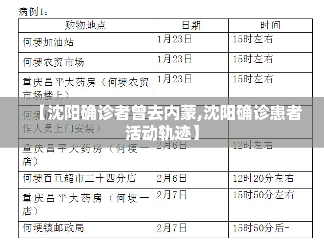 【沈阳确诊者曾去内蒙,沈阳确诊患者活动轨迹】