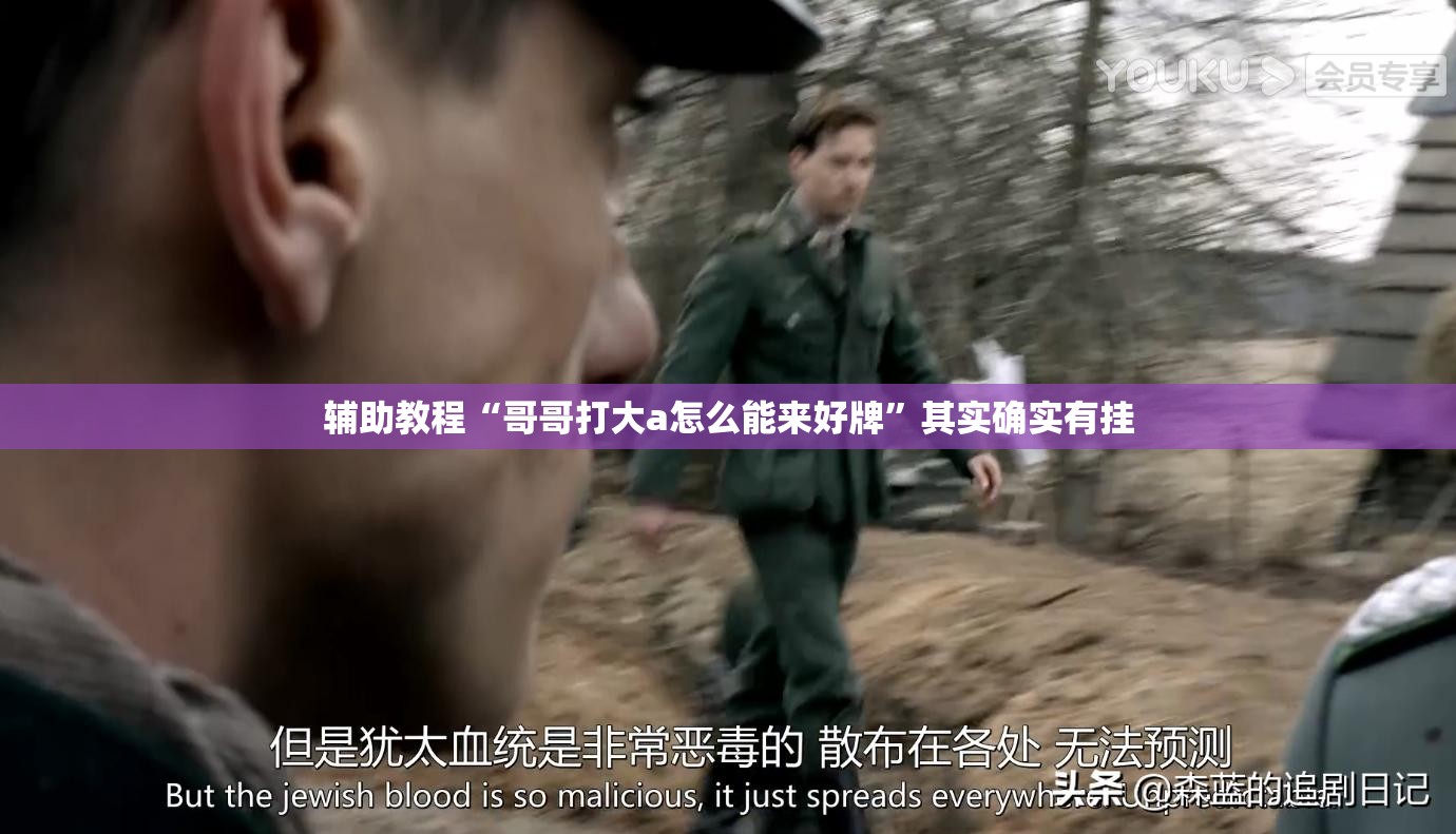 辅助教程“哥哥打大a怎么能来好牌”其实确实有挂