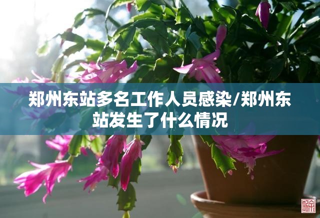 郑州东站多名工作人员感染/郑州东站发生了什么情况 郑州东站多名工作人员感染/郑州东站发生了什么情况