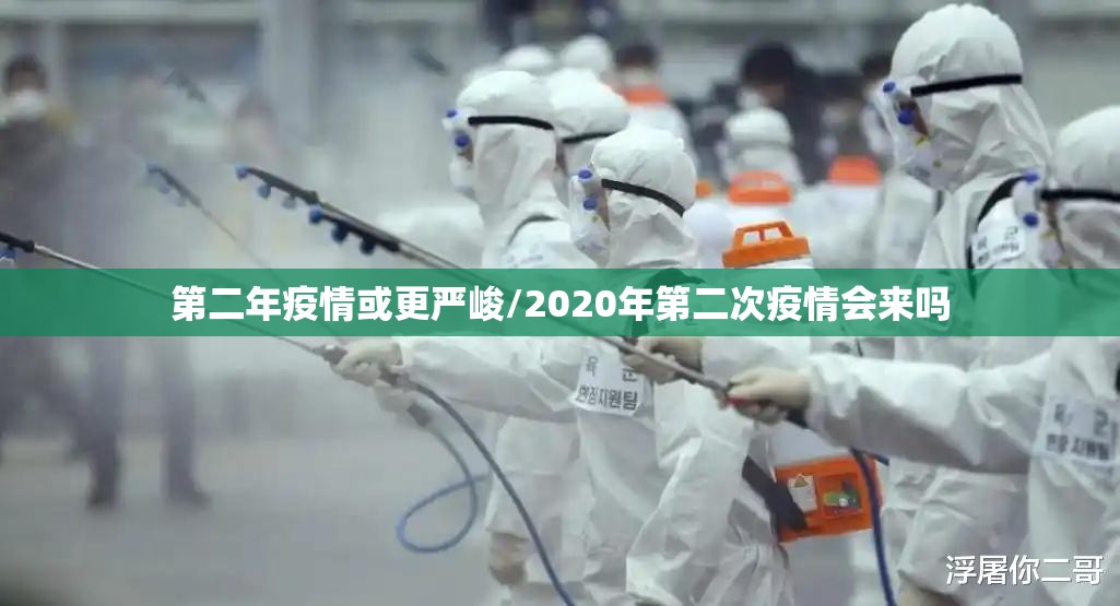 第二年疫情或更严峻/2020年第二次疫情会来吗 第二年疫情或更严峻/2020年第二次疫情会来吗