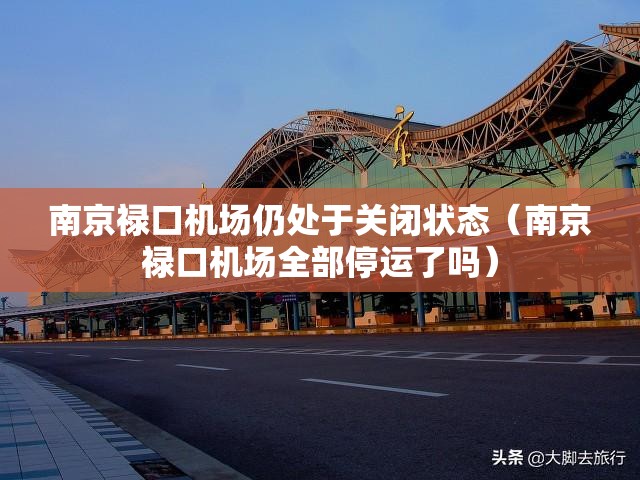 南京禄口机场仍处于关闭状态（南京禄口机场全部停运了吗）