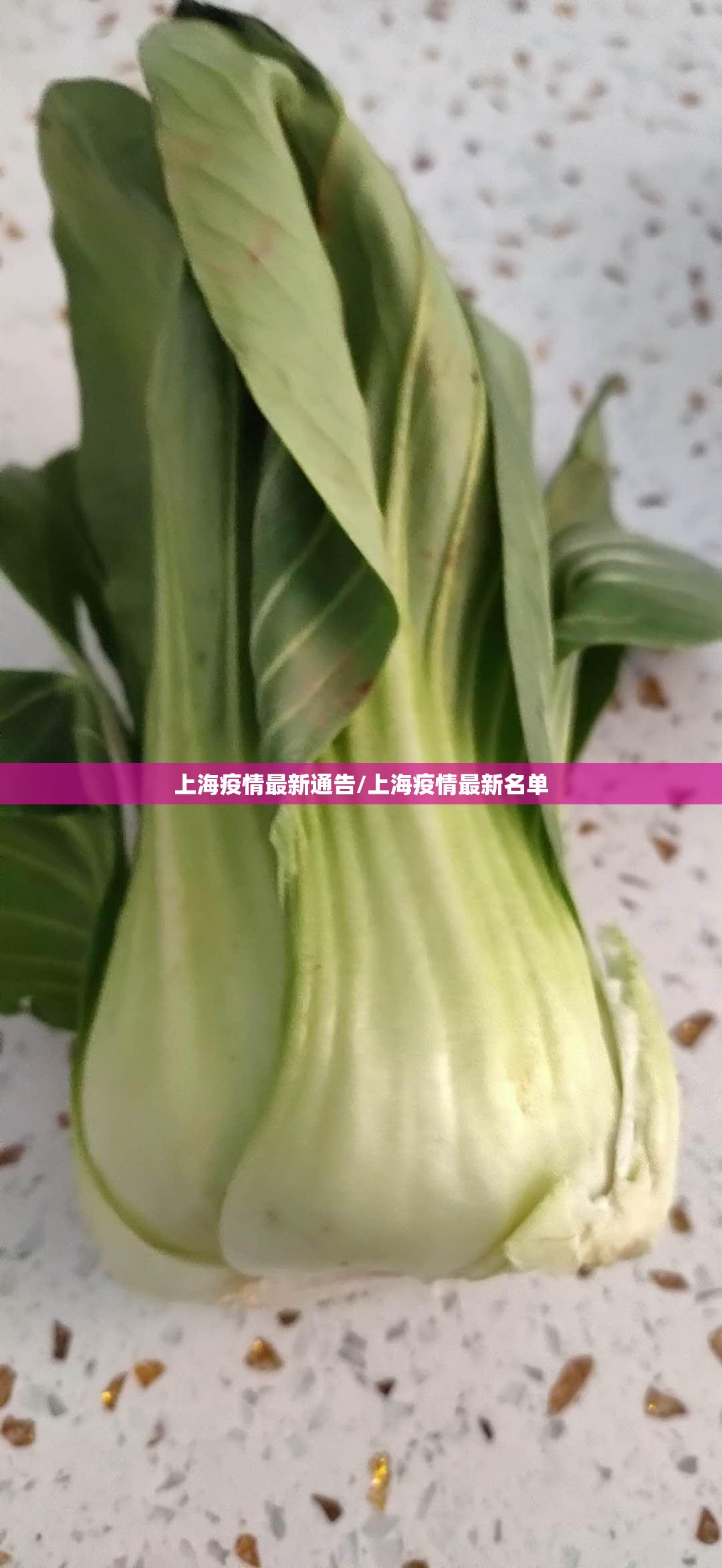 上海疫情最新通告/上海疫情最新名单