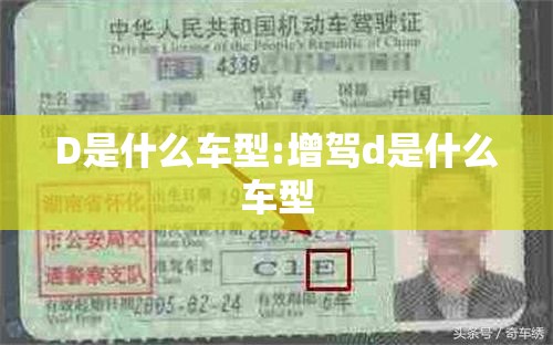 D是什么车型:增驾d是什么车型 D是什么车型:增驾d是什么车型