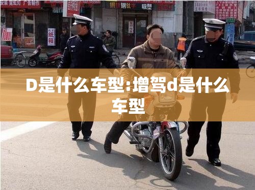 D是什么车型:增驾d是什么车型 D是什么车型:增驾d是什么车型