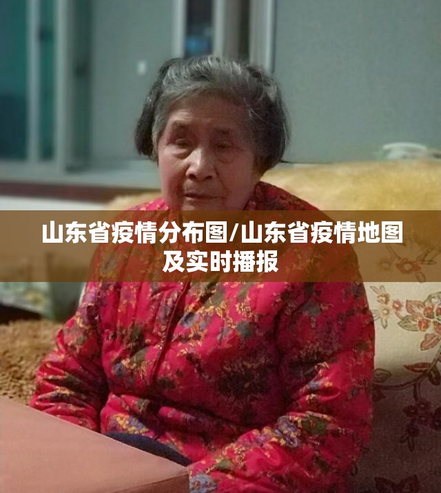 山东省疫情分布图/山东省疫情地图及实时播报