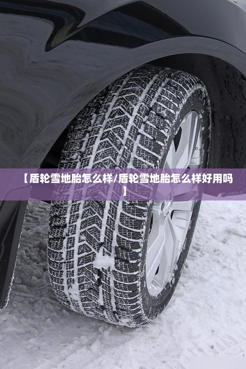 【盾轮雪地胎怎么样/盾轮雪地胎怎么样好用吗】