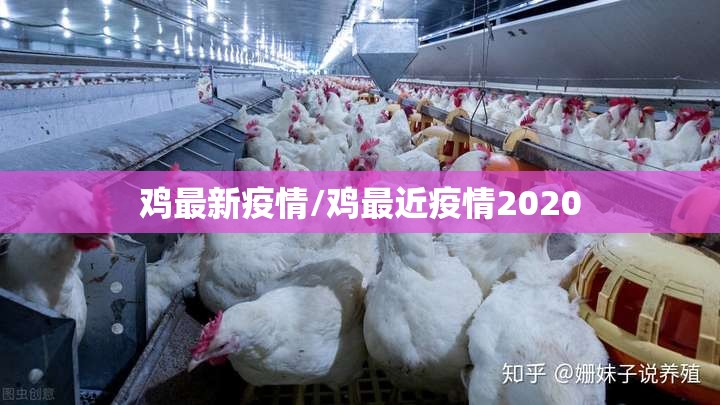 鸡最新疫情/鸡最近疫情2020 鸡最新疫情/鸡最近疫情2020