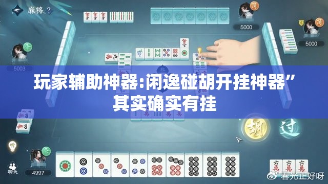 玩家辅助神器:闲逸碰胡开挂神器	”其实确实有挂
