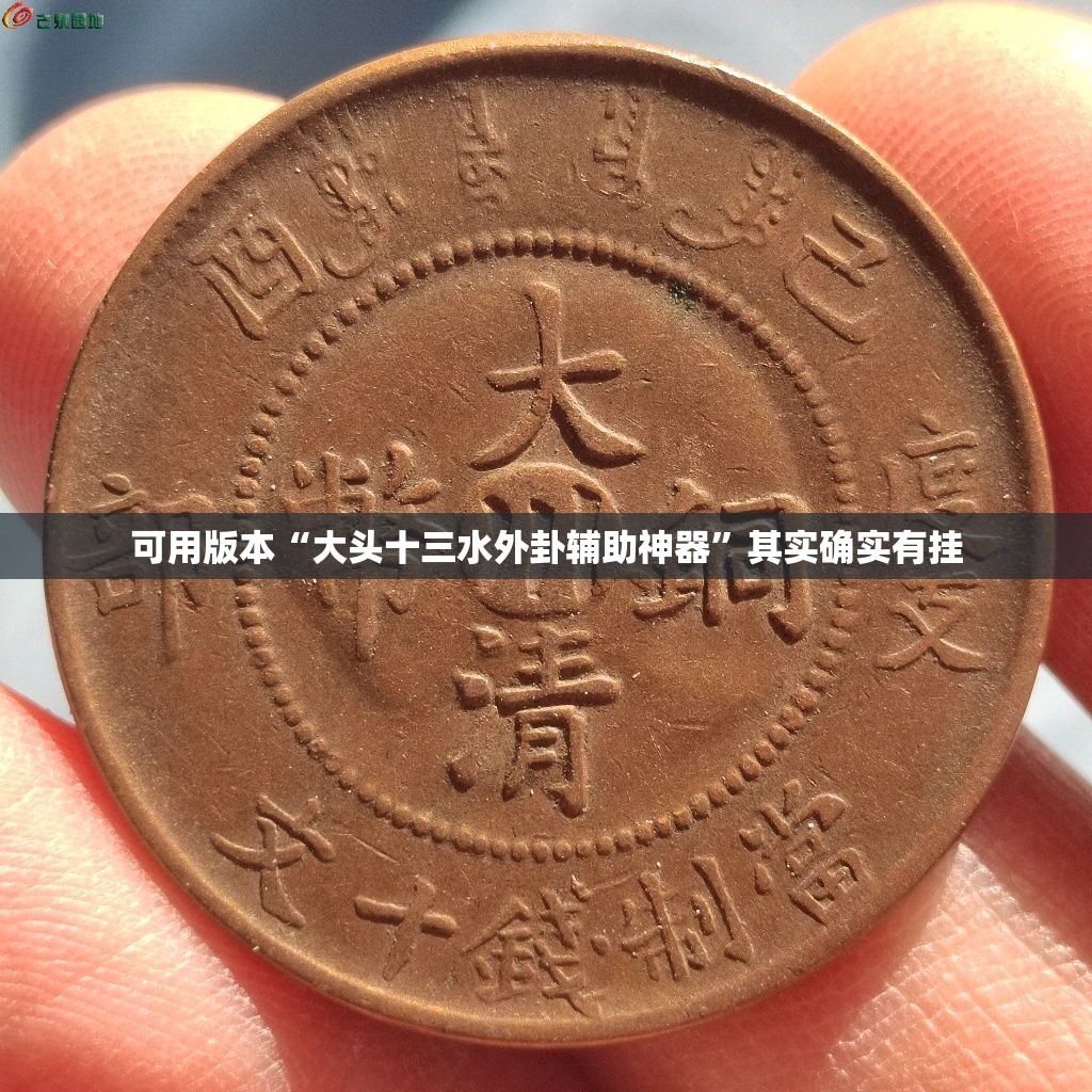 可用版本“大头十三水外卦辅助神器	”其实确实有挂