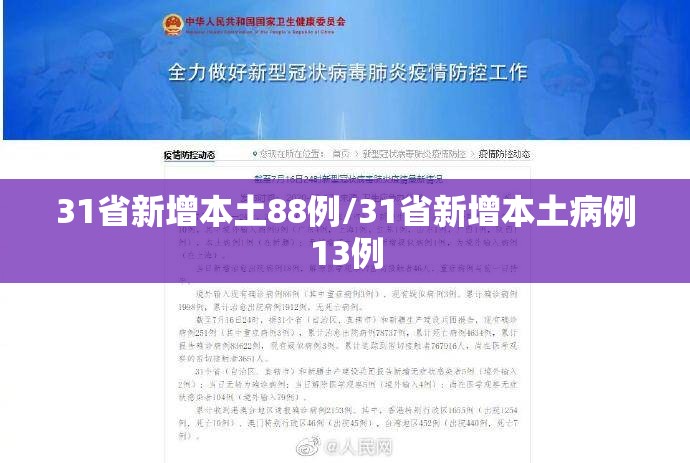 31省新增本土88例/31省新增本土病例13例 31省新增本土88例/31省新增本土病例13例