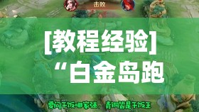 [教程经验]“白金岛跑得快有没有挂”开挂(透视)辅助教程
