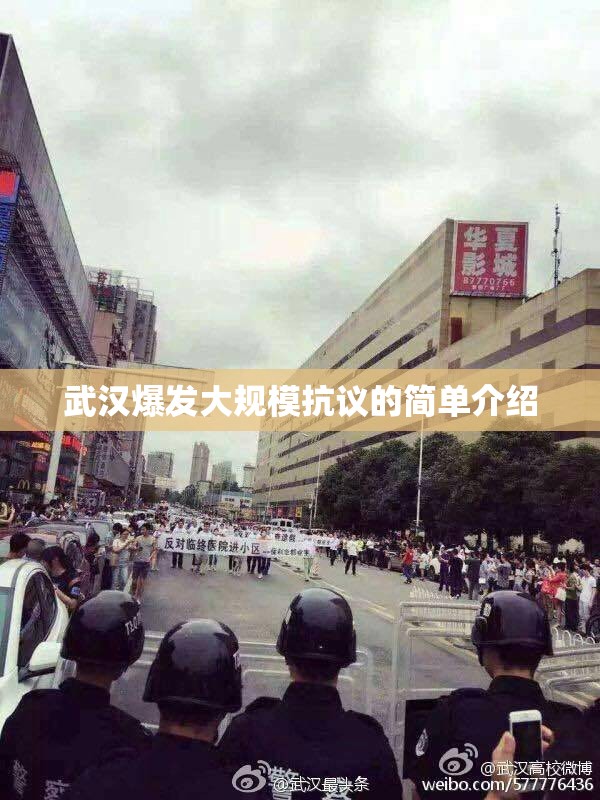 武汉爆发大规模抗议的简单介绍