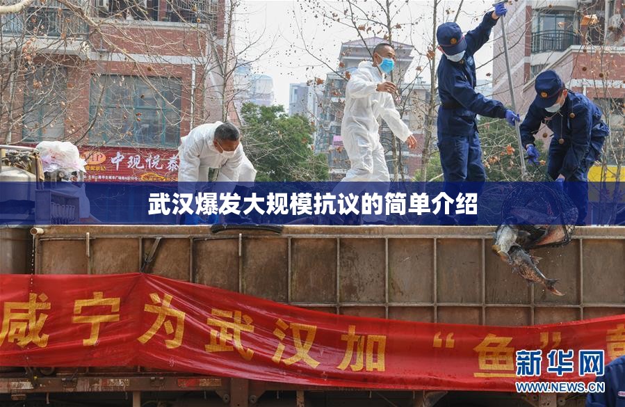 武汉爆发大规模抗议的简单介绍 武汉爆发大规模抗议的简单介绍