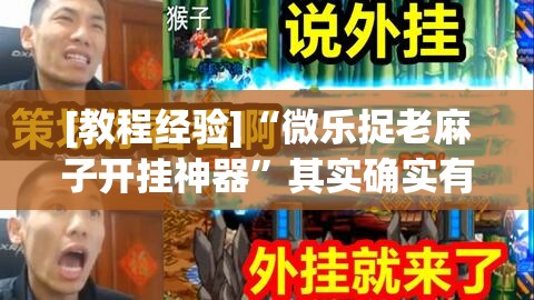 [教程经验]“微乐捉老麻子开挂神器”其实确实有挂