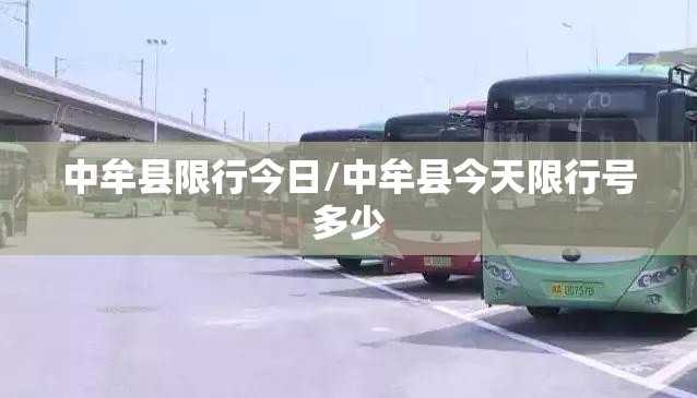 中牟县限行今日/中牟县今天限行号多少 中牟县限行今日/中牟县今天限行号多少