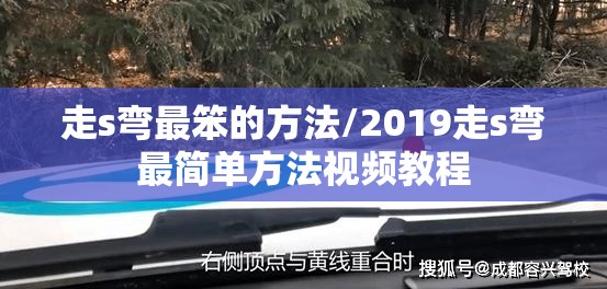 走s弯最笨的方法/2019走s弯最简单方法视频教程 走s弯最笨的方法/2019走s弯最简单方法视频教程