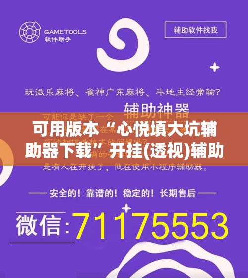 可用版本“心悦填大坑辅助器下载”开挂(透视)辅助神器