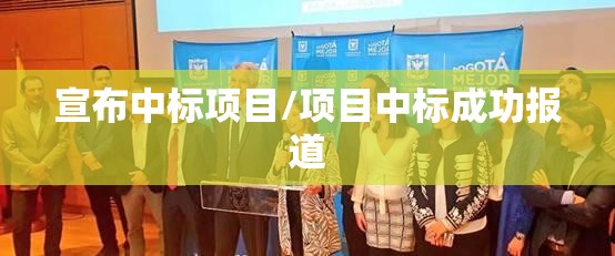 宣布中标项目/项目中标成功报道 宣布中标项目/项目中标成功报道