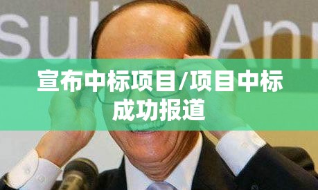 宣布中标项目/项目中标成功报道 宣布中标项目/项目中标成功报道