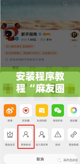 安装程序教程“麻友圈2到底有没有挂!辅助神器插件下载