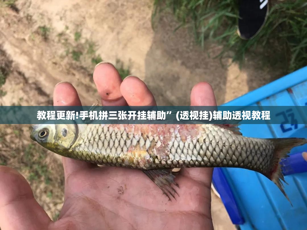 教程更新!手机拼三张开挂辅助	”(透视挂)辅助透视教程
