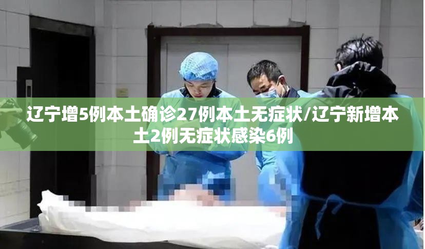 辽宁增5例本土确诊27例本土无症状/辽宁新增本土2例无症状感染6例