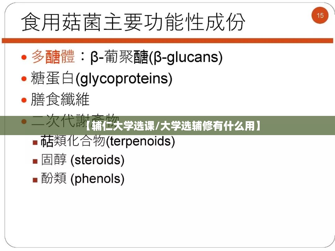 【辅仁大学选课/大学选辅修有什么用】