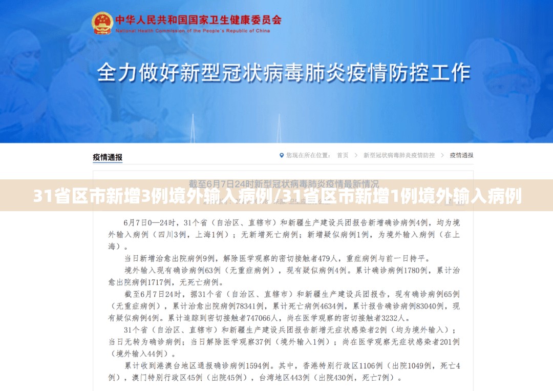 31省区市新增3例境外输入病例/31省区市新增1例境外输入病例