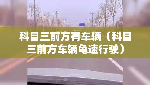 科目三前方有车辆(科目三前方车辆龟速行驶) 科目三前方有车辆(科目三前方车辆龟速行驶)