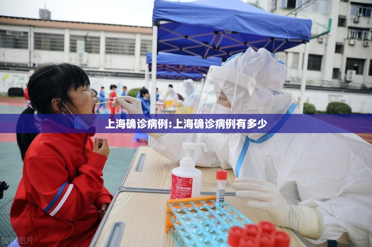 上海确诊病例:上海确诊病例有多少 上海确诊病例:上海确诊病例有多少
