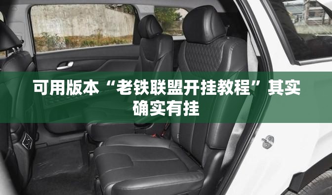 可用版本“老铁联盟开挂教程”其实确实有挂